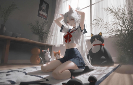 国产漫画崛起之路